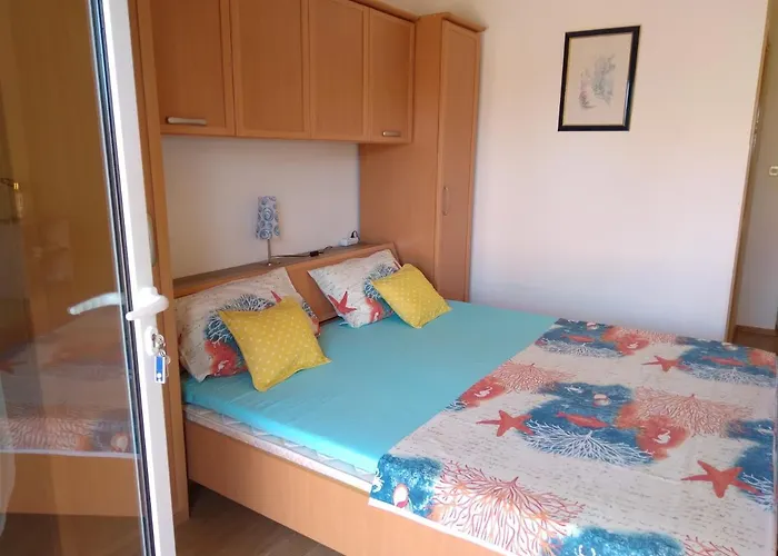 Sany&toyo * Barbat na Rabu